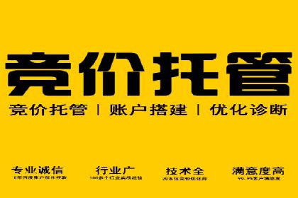 竞价代运营的转化率提升：某行业领先企业的秘诀